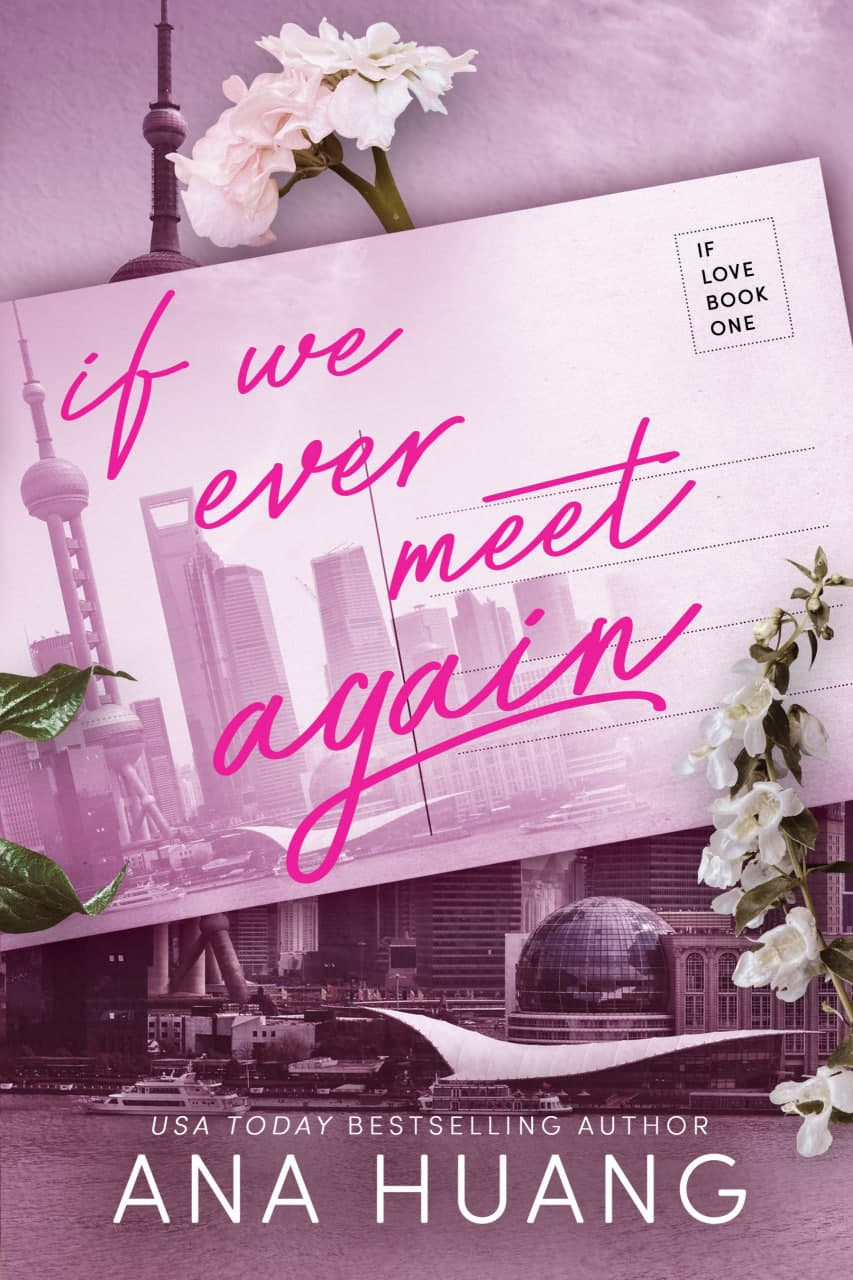 If we ever meet again (A5, qattiq) kichik rasm