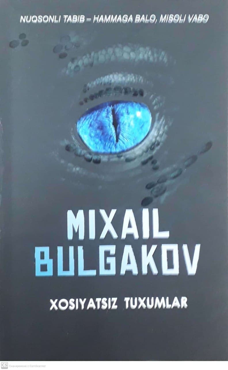 Xosiyatsiz tuxumlar (A5, yumshoq) 109 bet kichik rasm