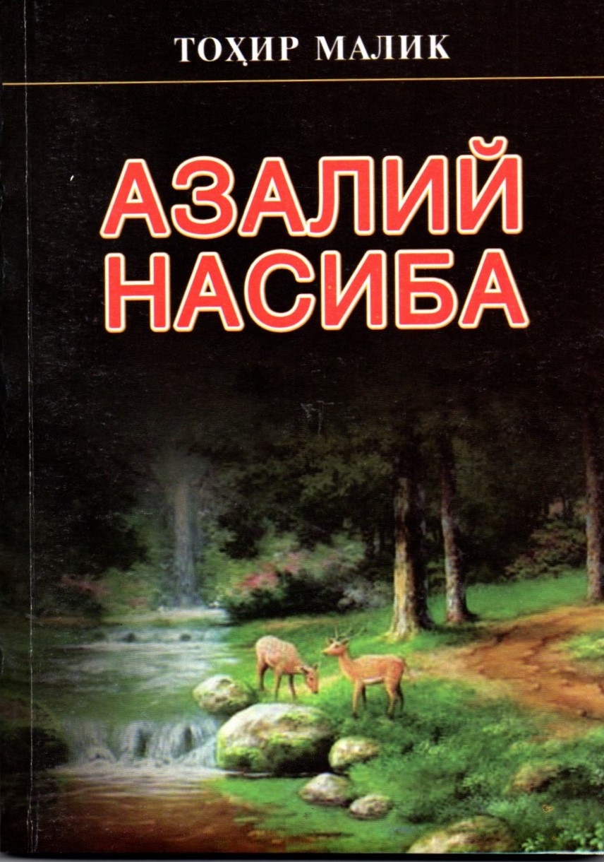 Азалий насиба (А5, yumshoq) 208 bet