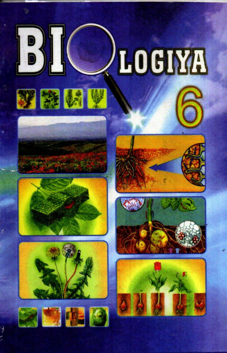Biologiya 6-sinf (rangli) 2017 (A5, yumshoq) 144 bet