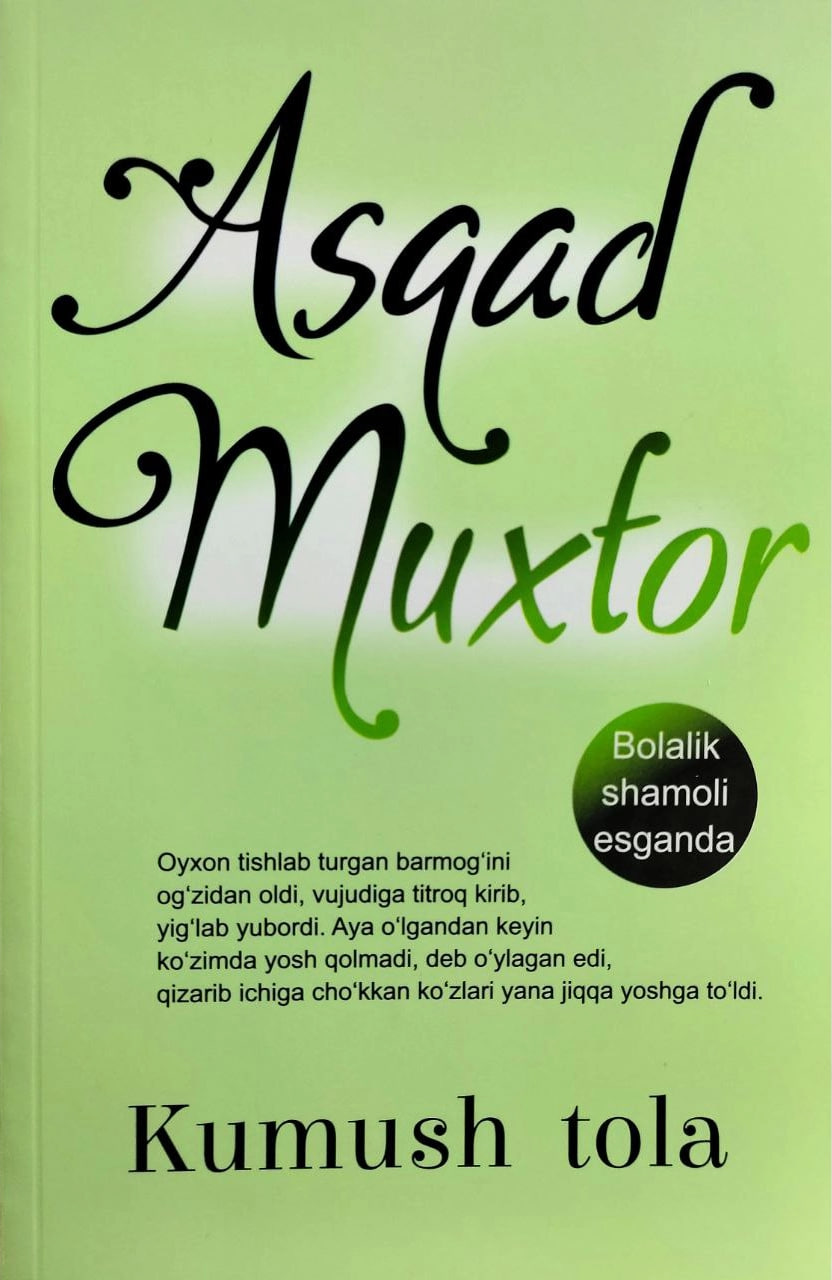 Kumush qashqa (А5, yumshoq) 96 bet kichik rasm