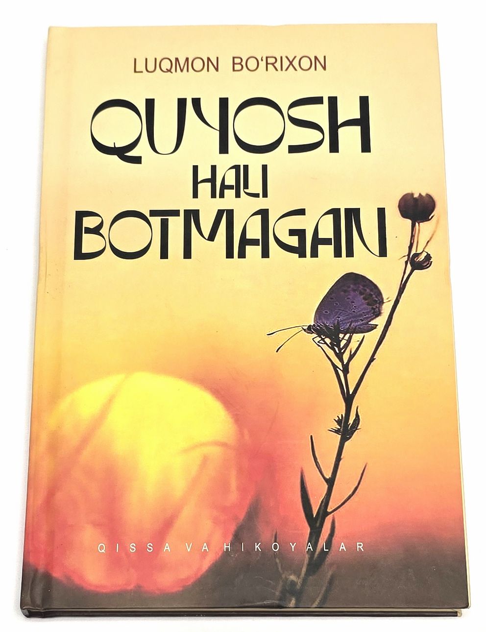 Quyosh hali botmagan (qissa va hikoyalar) (А5, yumshoq) 192 bet.jpg
